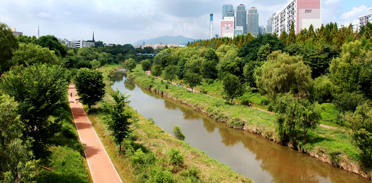 Yangjaecheon Park Project & Stream Purification(1996.12~1997.11)